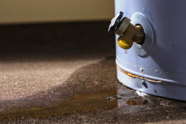 Best Residential Water Damage Restoration in Camp Barrett, VA